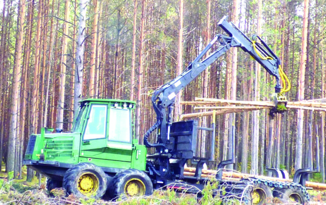 В лесу за Клестовкой в Соликамске расширяют просеку